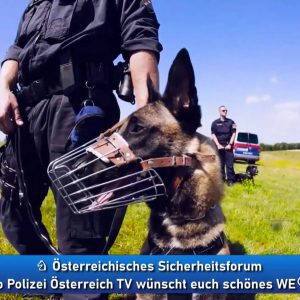 Polizeihund